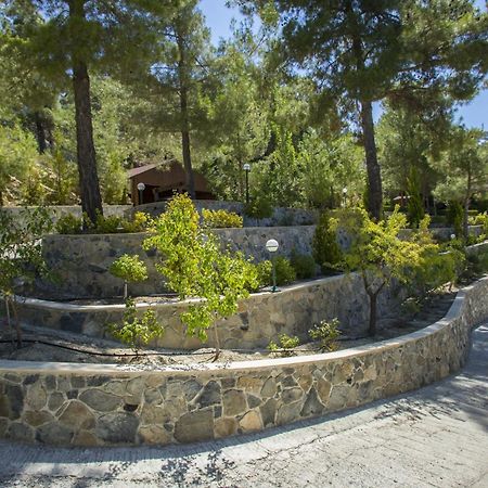 Ricky Chalet Near Troodos Spilia エクステリア 写真
