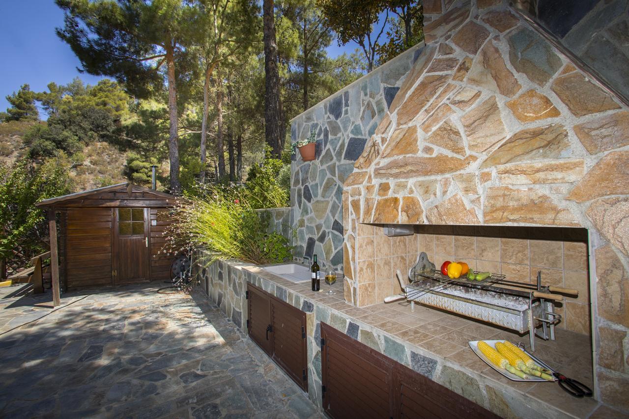 Ricky Chalet Near Troodos Spilia エクステリア 写真