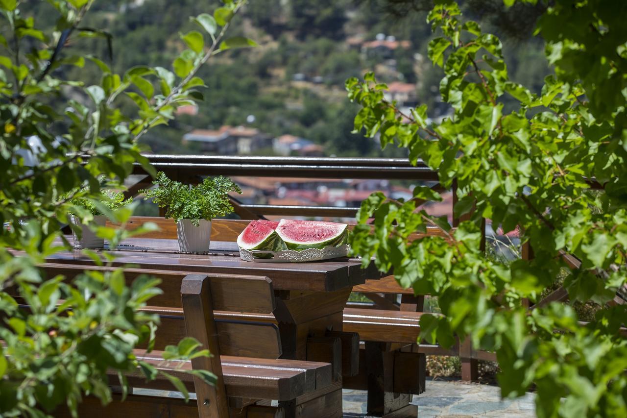 Ricky Chalet Near Troodos Spilia エクステリア 写真