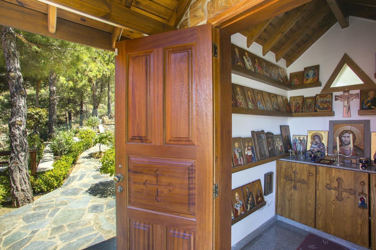 Ricky Chalet Near Troodos Spilia エクステリア 写真