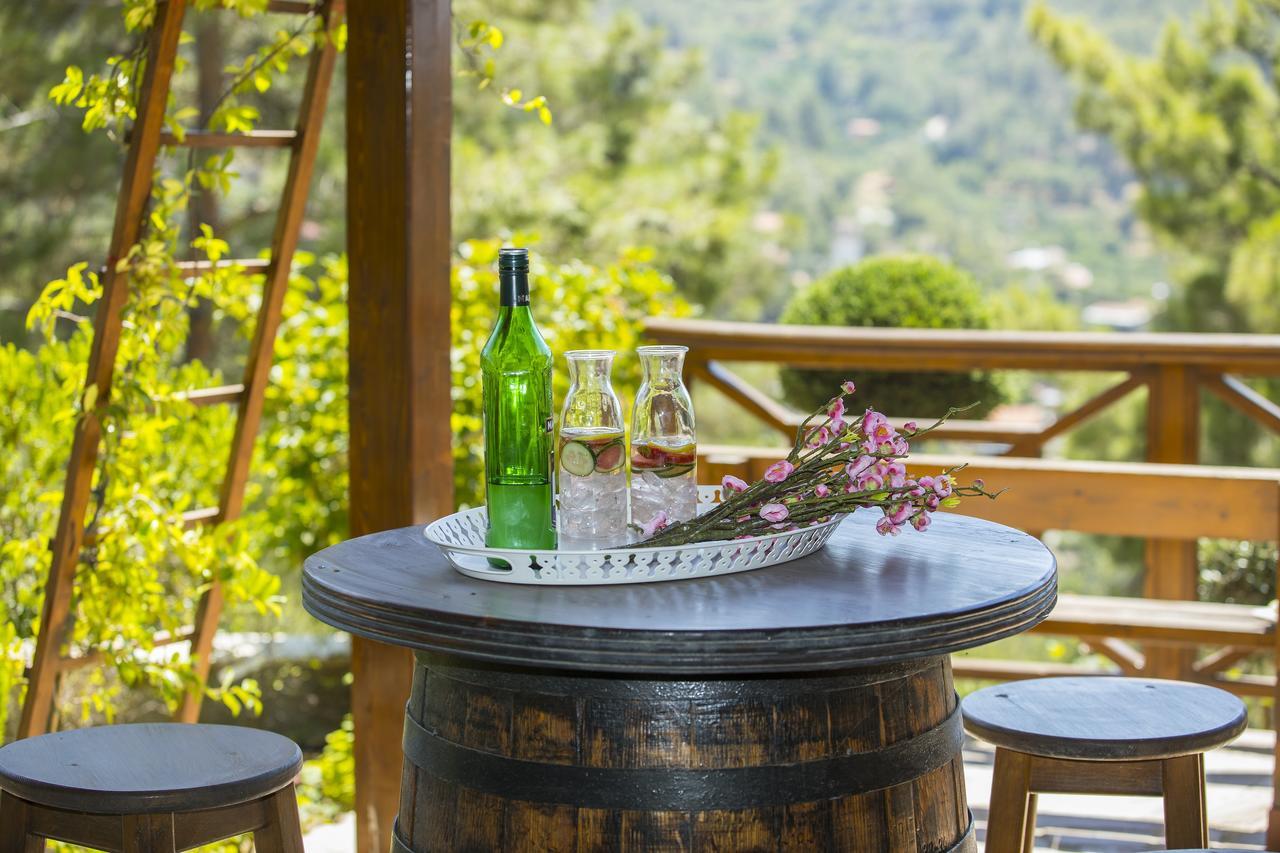 Ricky Chalet Near Troodos Spilia エクステリア 写真