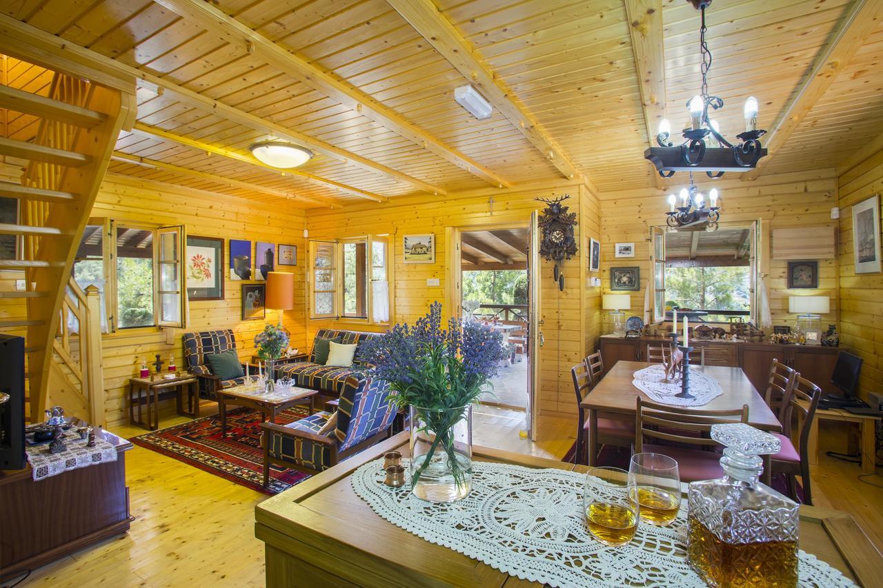 Ricky Chalet Near Troodos Spilia エクステリア 写真