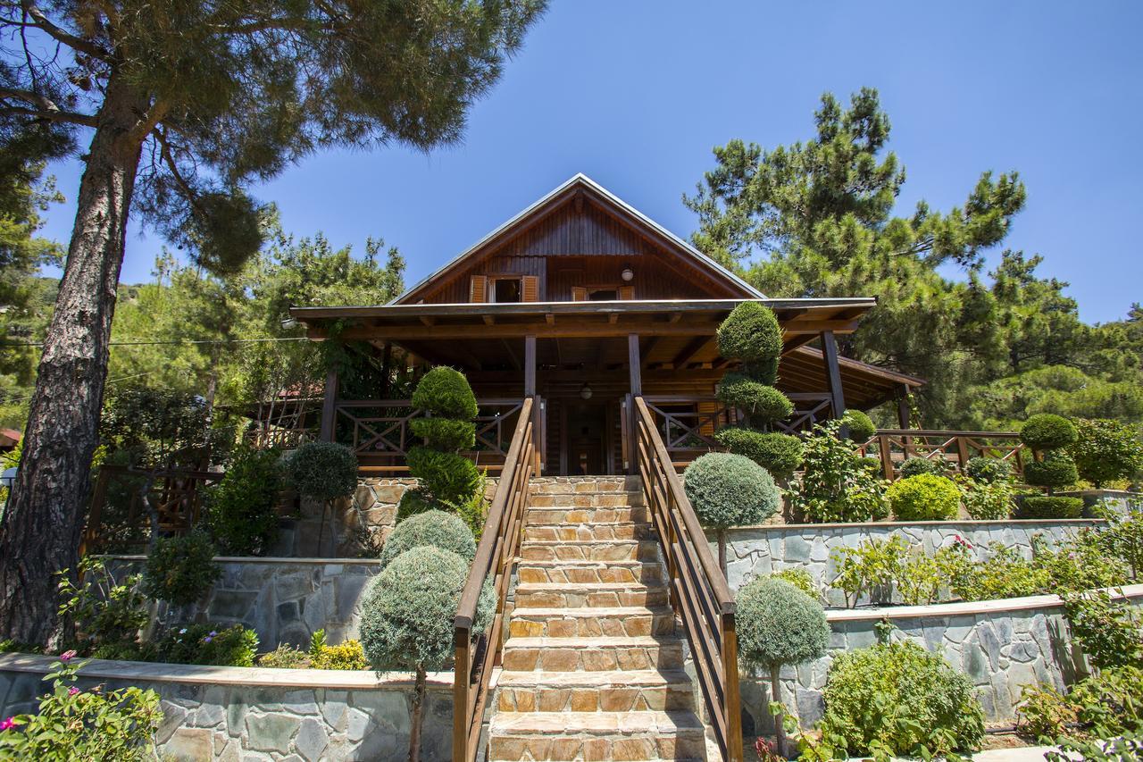 Ricky Chalet Near Troodos Spilia エクステリア 写真