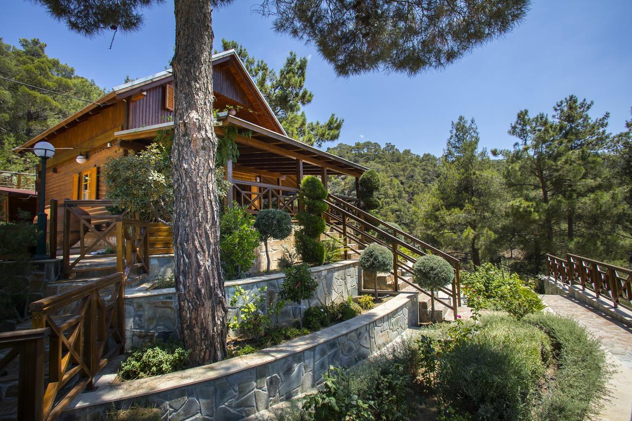 Ricky Chalet Near Troodos Spilia エクステリア 写真