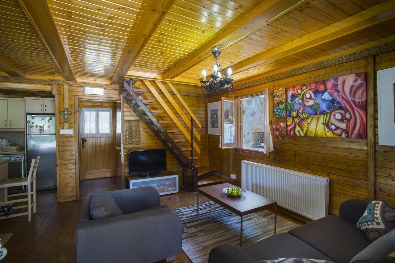 Ricky Chalet Near Troodos Spilia エクステリア 写真
