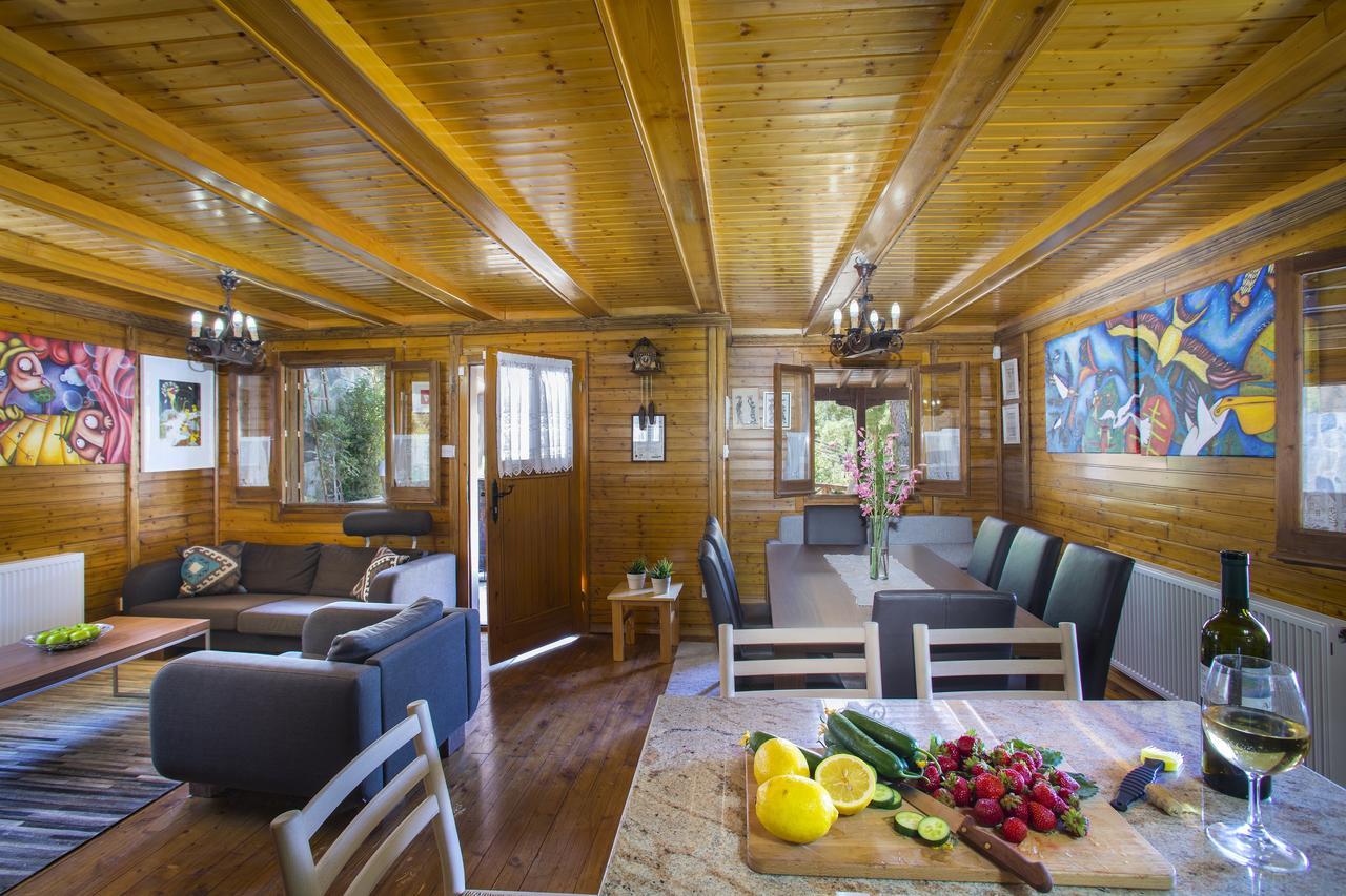 Ricky Chalet Near Troodos Spilia エクステリア 写真