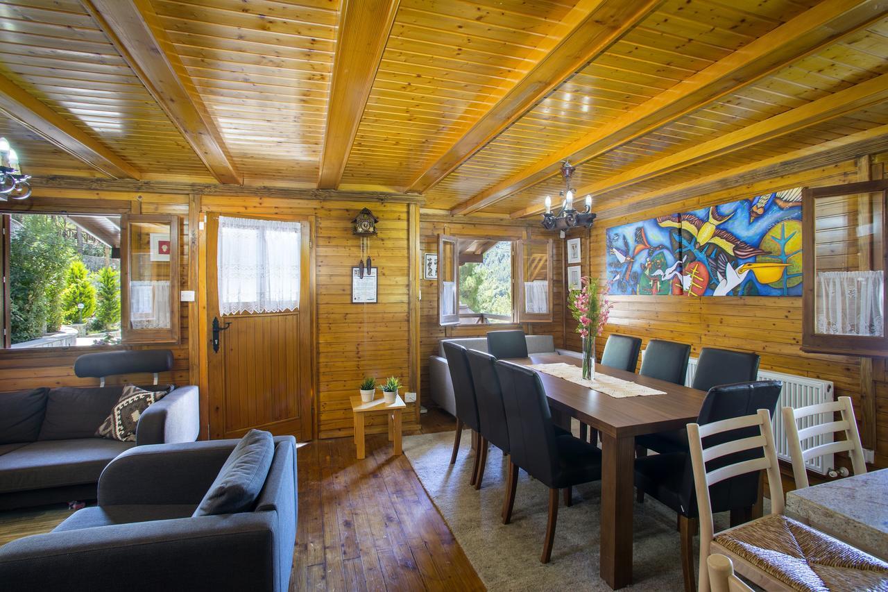 Ricky Chalet Near Troodos Spilia エクステリア 写真