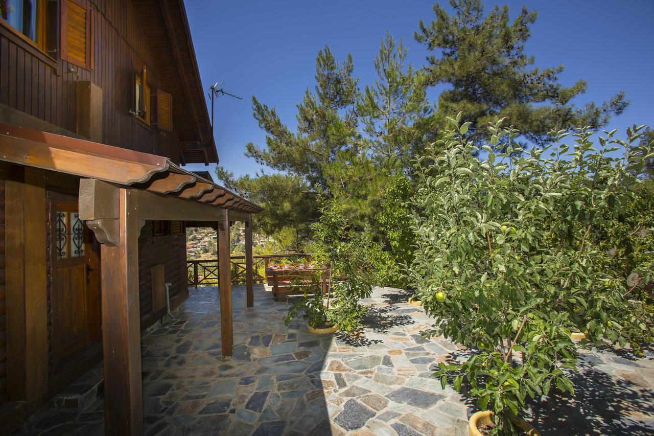 Ricky Chalet Near Troodos Spilia エクステリア 写真