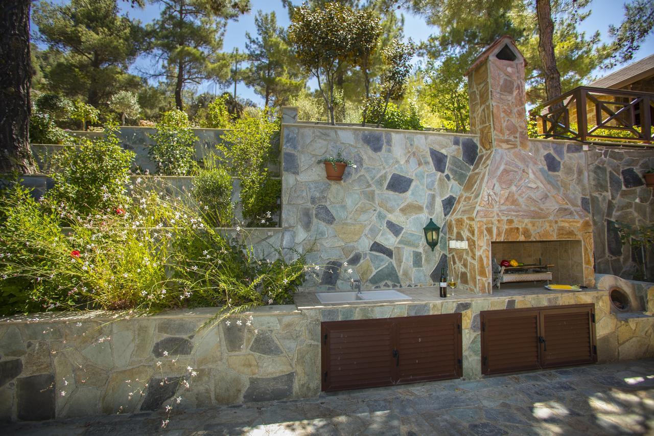 Ricky Chalet Near Troodos Spilia エクステリア 写真