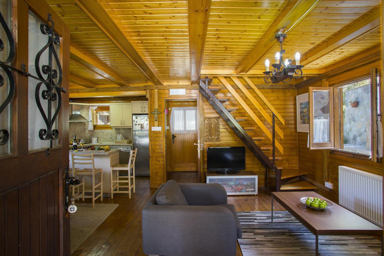 Ricky Chalet Near Troodos Spilia エクステリア 写真
