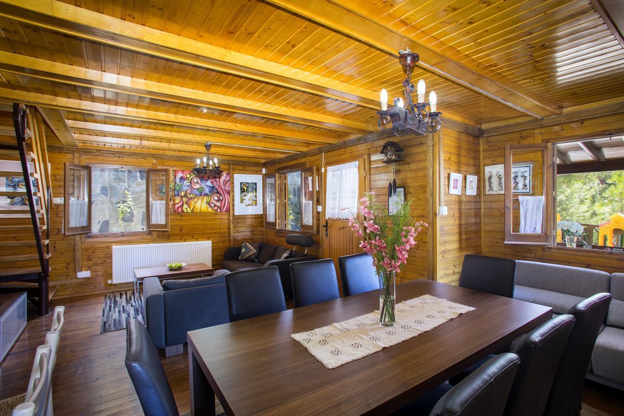 Ricky Chalet Near Troodos Spilia エクステリア 写真